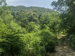 -里口山风景名胜区