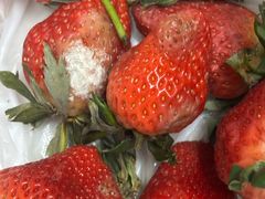 -四季水果蔬菜园(闽江路店)