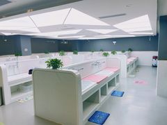 -沥鲨亲子游泳俱乐部(金沙洲中心)