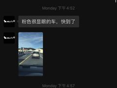 -MOLLY'S萌宠生活馆