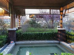 -大连金石滩绿发温泉假日酒店