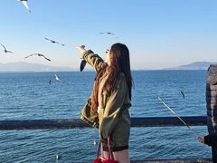 -悦海公园