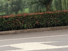-红豆杉庄会议中心