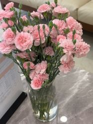 -小珂丽格医疗美容