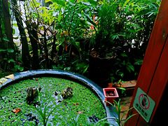 -叉叉纳里客栈(珠海情侣路唐家湾沙滩店)