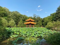 -富乐山