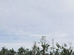 -万绿园