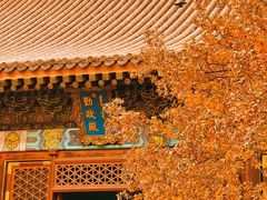 -香山公园