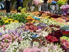 -双季花艺园艺市场(浦东店)