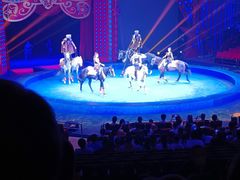 -珠海横琴长隆《卡卡虎奇遇记》