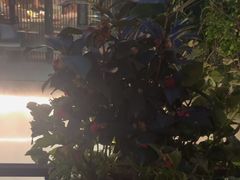 -大妙火锅·非物质文化遗产(东湖公园店)