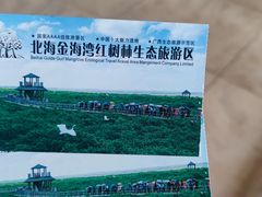 -北海金海湾红树林生态旅游区