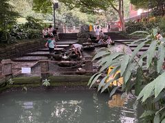 -成都市活水公园