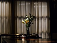 -THE OLD HOUSE酒吧
