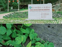 -苏木山森林公园