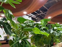 -云海肴汽锅鸡·云南小炒(曲江大悦城店)