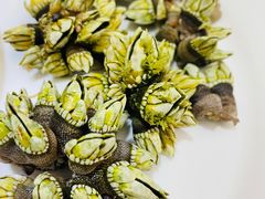 -新享乐海鲜(翠华路店)