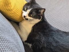 -路易时光(蕴川路店)