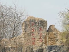 -秦皇岛野生动物园