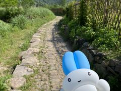 -会稽山峡洞漂流-上青古道