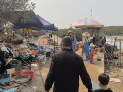 -北海金海湾红树林生态旅游区