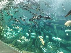 -波塞冬旅游度假区