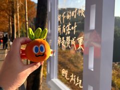 -泽雅景区