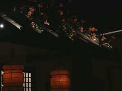 -绿茶餐厅(燕郊永旺店)