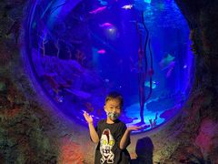 -沈阳海洋探索中心