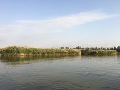 -乌梁素海景区