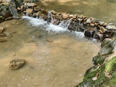 -火炉山森林公园