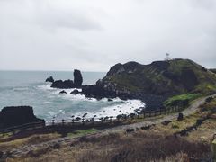 -涉地可支