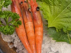 -菊上料理(蜀山银泰百货店)