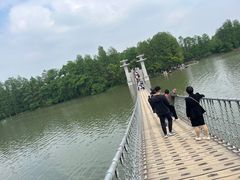 -东湖落雁景区