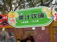 -高东镇樱花园