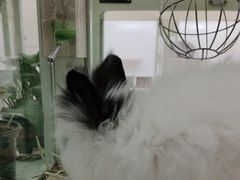 -龙猫仔乐园(惠福东路店)