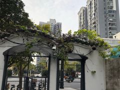 -Punchline Coffee&Roaster(同济大学店)
