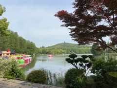 -无锡蠡湖国家湿地公园-蠡园