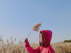 -西青郊野公园