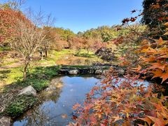 -田野绿世界
