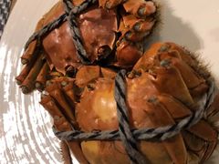 -新食谱全日制餐厅·苏州苏州湾艾美酒店
