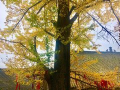 -金堂县云顶石城风景区