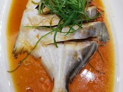 -苏启渔港(云南北路店)