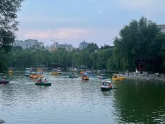 -莲湖公园