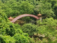 -广西龙虎山风景区