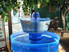 -佬麻雀·剁椒鱼头(京基KK One店)