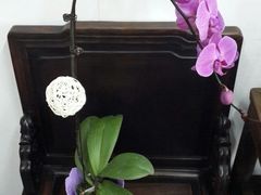 -FEI FEI FLOWER鲜花店·气球派对·宝宝宴布置(虹口德必运动Loft店)
