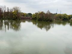 -海珠湖公园