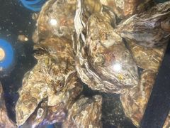 -星伦多自助料理·涮烤一体(奉贤龙湖天街店)