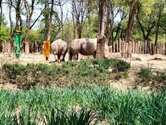 -北京野生动物园